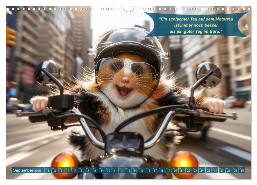 InsideView 14