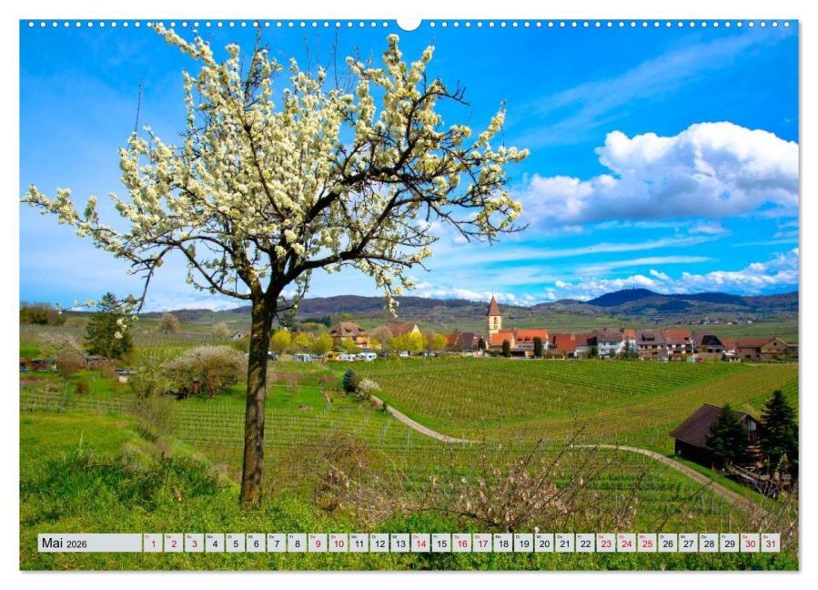 InsideView 10