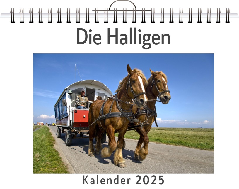 Die Halligen - (Wandkalender 2025, Kalender DIN A4 quer, Monatskalender im Querformat mit Kalendarium, das perfekte Geschenk) - Lena Krüger