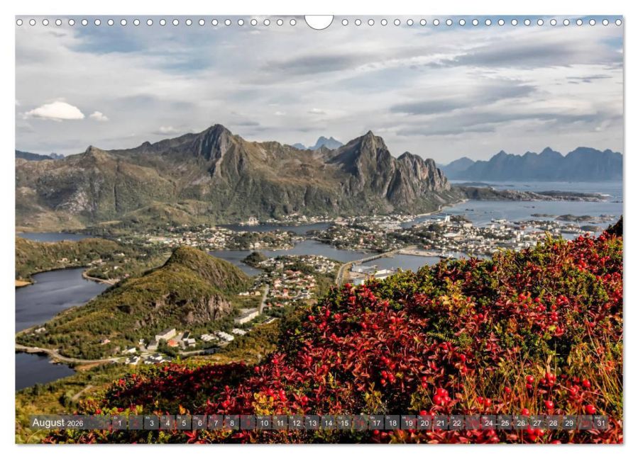 InsideView 13