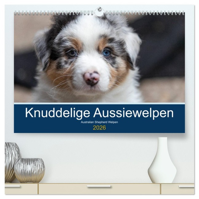 Australian Shepherd Welpen 2026 (hochwertiger Premium Wandkalender 2026 DIN A2 quer), Kunstdruck in Hochglanz - Annett Mirsberger www. annettmirsberger. de