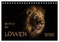 Die Welt der Löwen (Tischkalender 2025 DIN A5 quer), CALVENDO Monatskalender - Barbara Bethke