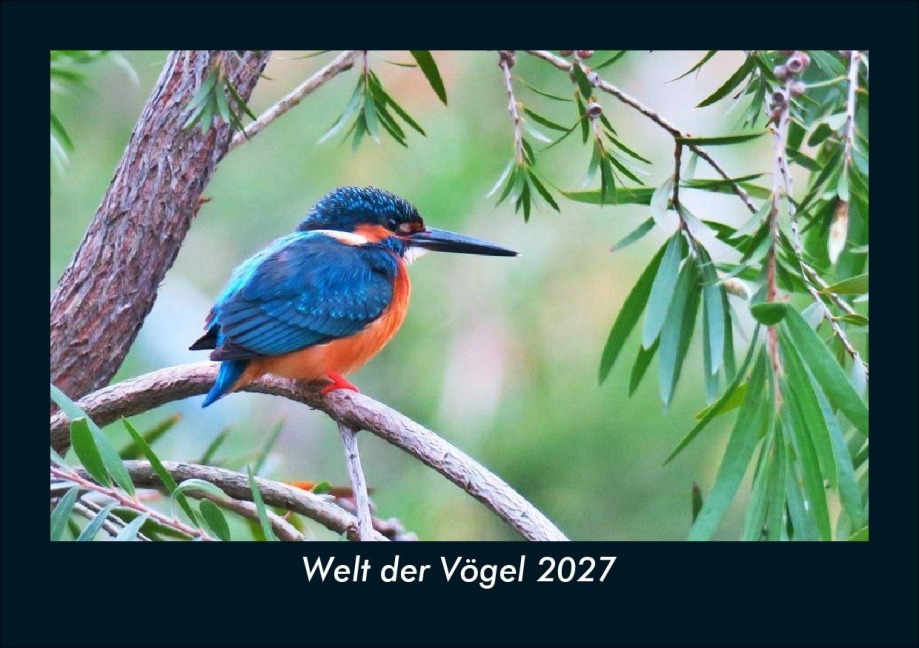 Welt der Vögel 2027 Fotokalender DIN A5 - Tobias Schmitt, Kevin Heber
