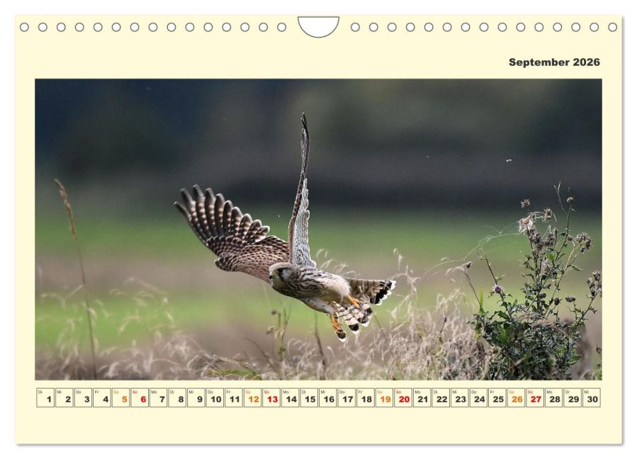 InsideView 14