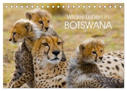 Wildes Leben in Botswana (Tischkalender 2026 DIN A5 quer), CALVENDO Monatskalender - Elisabeth Stanzer