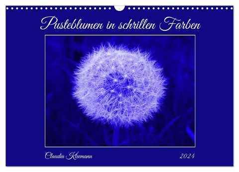 Pusteblumen in schrillen Farben (Wandkalender 2024 DIN A3 quer), CALVENDO Monatskalender - Claudia Kleemann