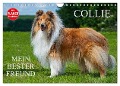 Collie - Mein bester Freund (Wandkalender 2025 DIN A4 quer), CALVENDO Monatskalender - Sigrid Starick