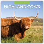 Highland Cows - Hochland Kühe 2026 - 16-Monatskalender - Robin Red