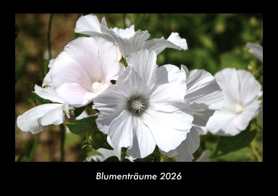 Blumenträume 2026 Fotokalender DIN A3 - Tobias Becker
