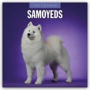 Samoyeds - Samojede - Samojedenspitz 2026 - 16-Monatskalender - Robin Red