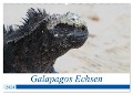 Galapagos Echsen (Wandkalender 2024 DIN A2 quer), CALVENDO Monatskalender - Johannes Reeh