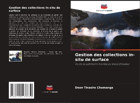 Gestion des collections in-situ de surface - Dean Tinashe Chamanga