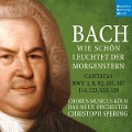 Cover-Bild zum Titel 'Cantatas BWV 1,8,92,101,107,114,123,133,139' von 'Christoph/Chorus Musicus Köln Spering'