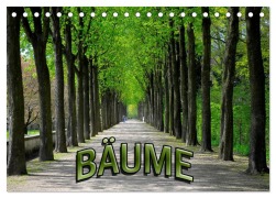 Cover-Bild zum Titel 'Bäume 2026 (Tischkalender 2026 DIN A5 quer), CALVENDO Monatskalender' von 'Bildagentur Geduldig'