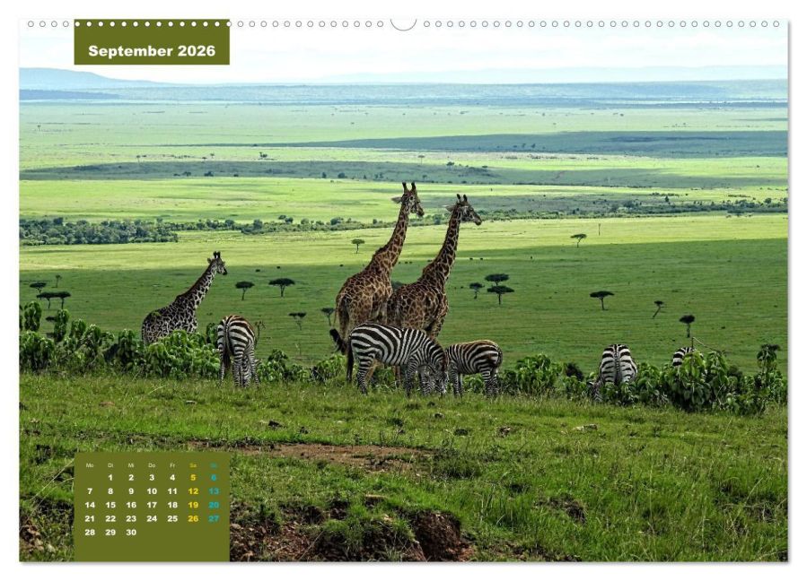 InsideView 13