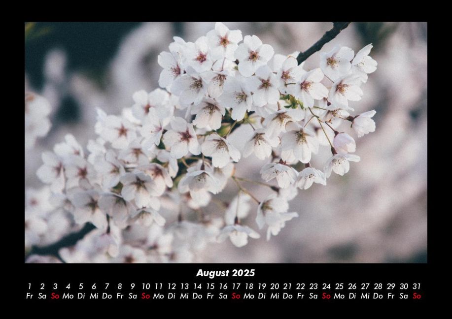 InsideView 12