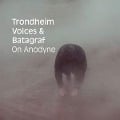 Cover-Bild zum Titel 'On Anodyne' von 'Trondheim Voices & Batagraf'