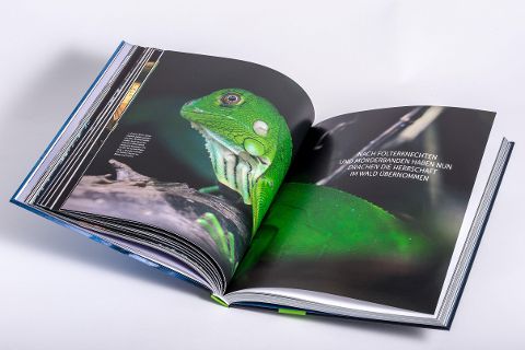 InsideView 4