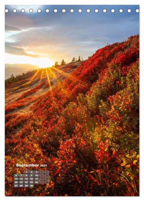 InsideView 14