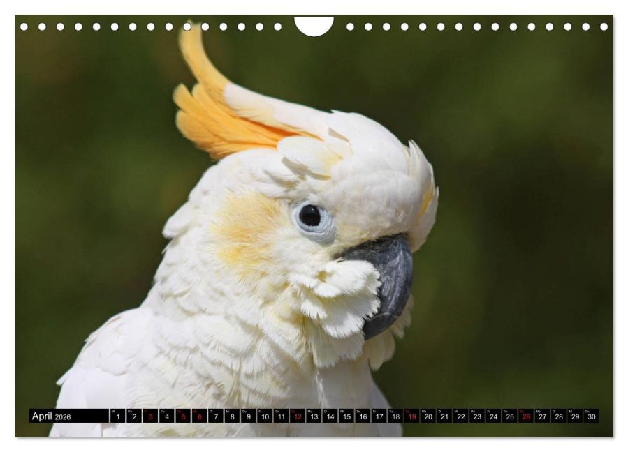 InsideView 9