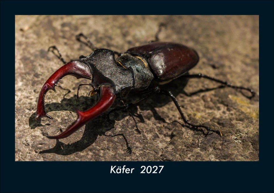Käfer  2027 Fotokalender DIN A5 - Tobias Schmitt, Kevin Heber
