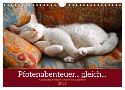 Cover-Bild zum Titel 'Pfotenabenteuer gleich (Wandkalender 2026 DIN A4 quer), CALVENDO Monatskalender' von 'Kerstin Waurick'