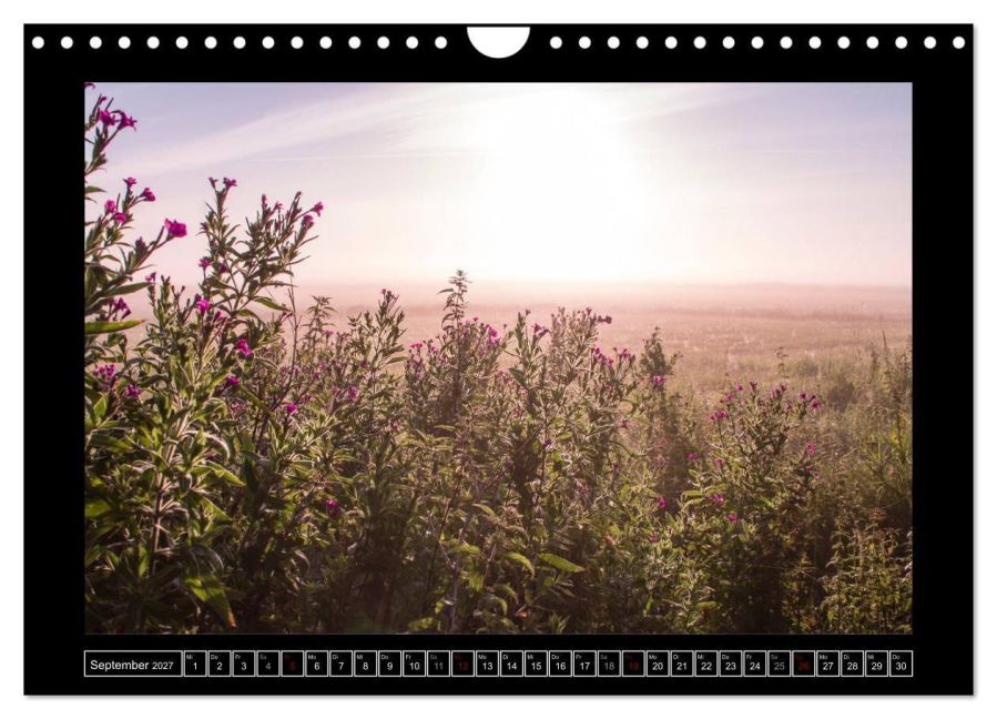 InsideView 14
