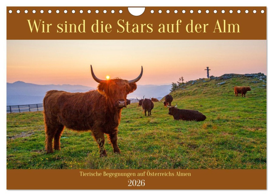 Wir sind die Stars auf der Alm (Wandkalender 2026 DIN A4 quer), CALVENDO Monatskalender - Christa Kramer