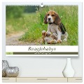 Beaglebabys auf Entdeckungstour (hochwertiger Premium Wandkalender 2025 DIN A2 quer), Kunstdruck in Hochglanz - Sonja Teßen