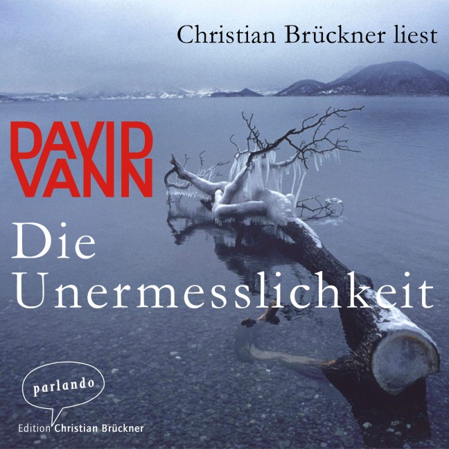 Die Unermesslichkeit - David Vann