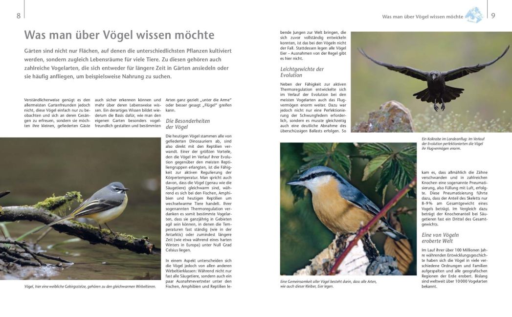 InsideView 3