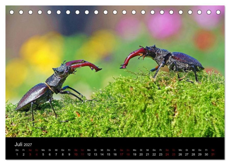 InsideView 12