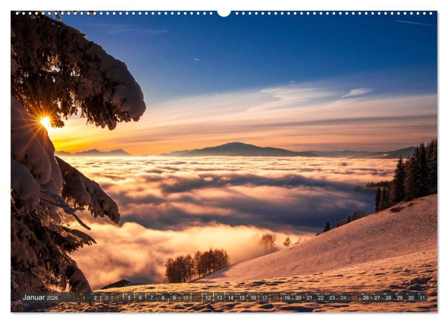 InsideView 6
