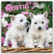 Cover-Bild zum Titel 'West Highland White Terrier Puppies - Westie Puppies - West Highland White Terrier Welpen - Westie Welpen 2027 - 16-Monatskalender' von 'Browntrout Publishers'
