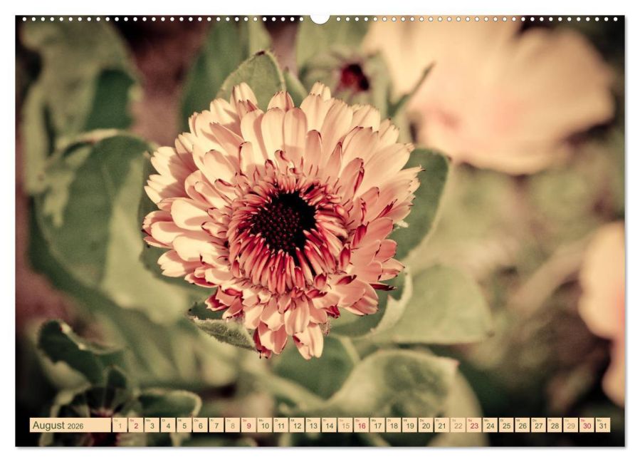 InsideView 12