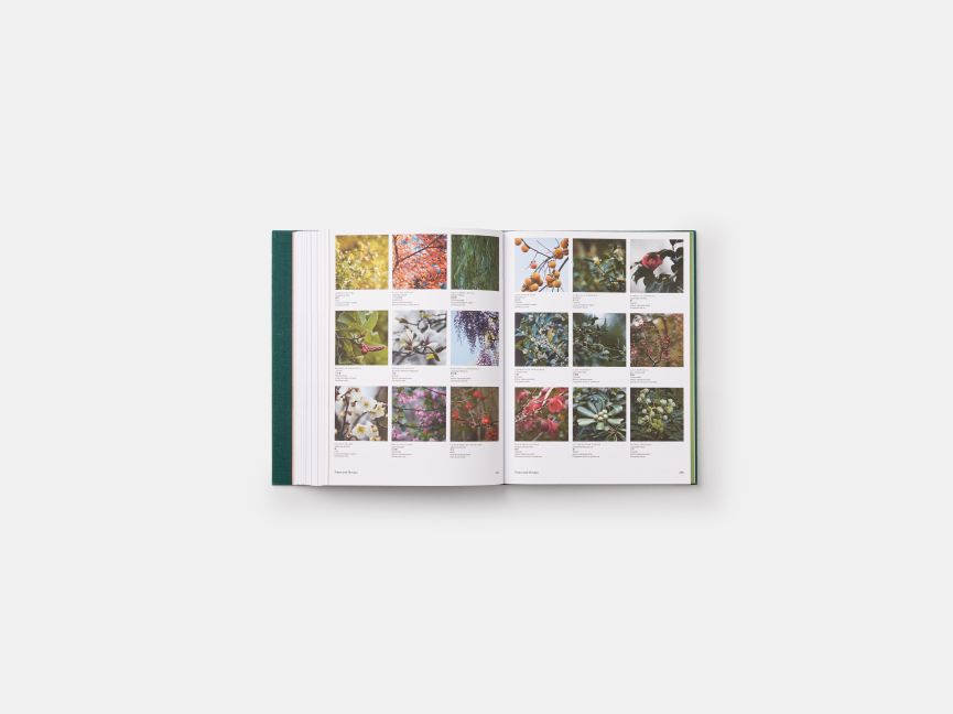 InsideView 10