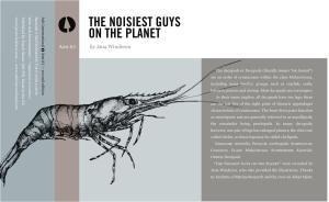 Noisiest Guys on the Planet - Jana Winderen