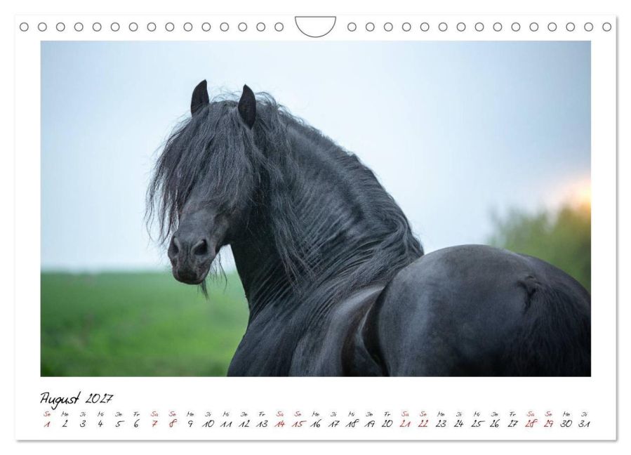 InsideView 13