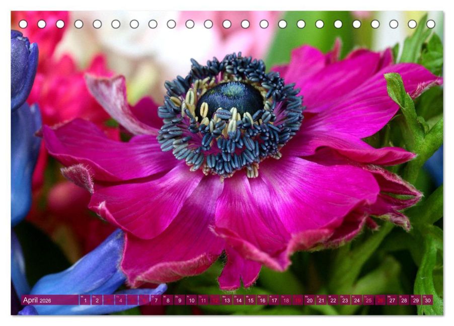 InsideView 9