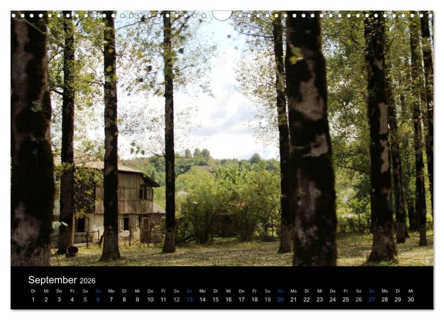 InsideView 14