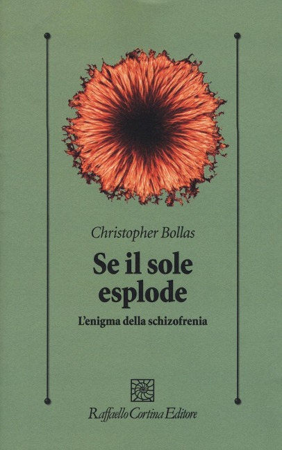 Se il sole esplode. L'enigma della schizofrenia - Christopher Bollas