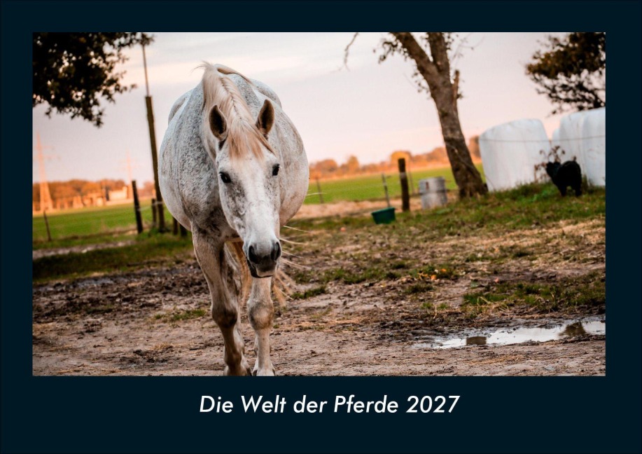 Die Welt der Pferde 2027 Fotokalender DIN A4 - Tobias Schmitt, Kevin Heber