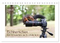 Eichhörnchen - Hast du Nüsschen mache ich Männchen (Tischkalender 2025 DIN A5 quer), CALVENDO Monatskalender - Birgit Cerny