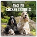 English Cocker Spaniels - Englisch Cocker Spaniel 2025 - 16-Monatskalender - 