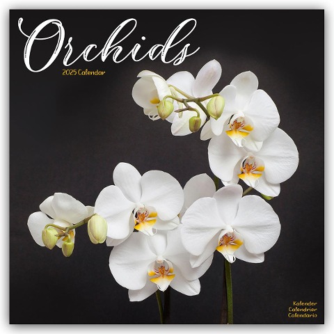 Orchids - Orchideen 2025 - 16-Monatskalender - Avonside Publishing Ltd