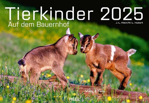 Tierkinder auf dem Bauernhof Kalender 2025 - J. -L. Klein, M. -L. Hubert