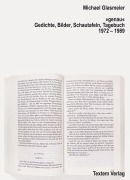 Cover-Bild zum Titel 'genau' von 'Michael Glasmeier'