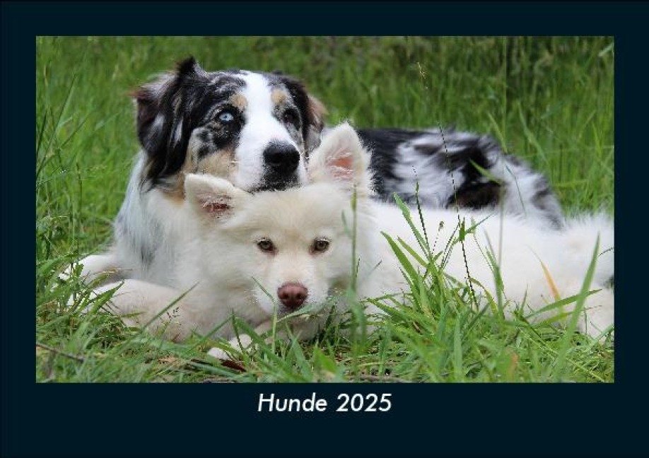 Hunde 2025 Fotokalender DIN A5 - Tobias Becker