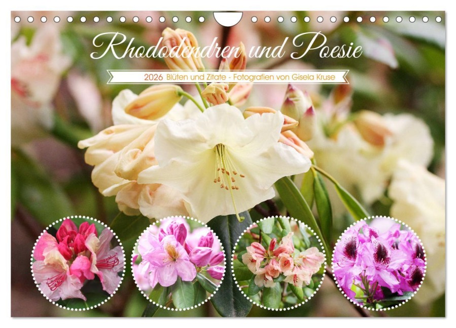 Rhododendren und Poesie (Wandkalender 2026 DIN A4 quer), CALVENDO Monatskalender - Gisela Kruse