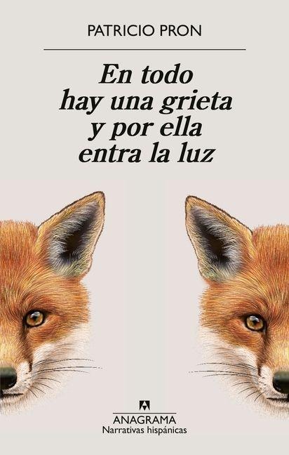 En Todo Hay Una Grieta Y Por Ella Entra La Luz - Patricio Pron